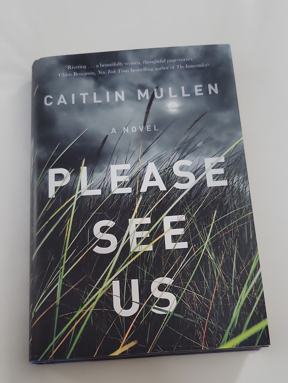 Please See Us by Caitlin Mullen - Hardcover Novel (Green/Black Cover)
